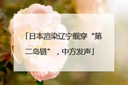 日本渲染辽宁舰穿“第二岛链”，中方发声