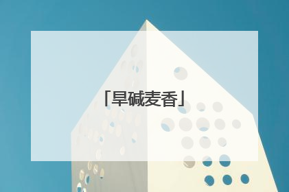 旱碱麦香