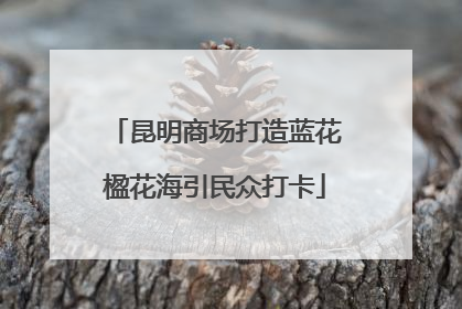 昆明商场打造蓝花楹花海引民众打卡