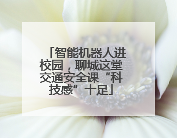 智能机器人进校园，聊城这堂交通安全课“科技感”十足