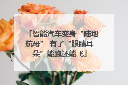 智能汽车变身“陆地航母” 有了“眼睛耳朵”能跑还能飞