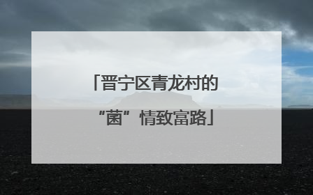 晋宁区青龙村的“菌”情致富路