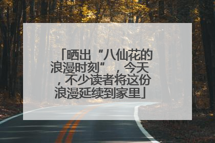 晒出“八仙花的浪漫时刻”，今天，不少读者将这份浪漫延续到家里