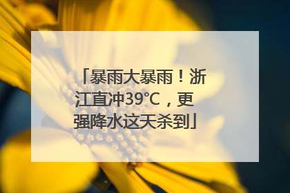 暴雨大暴雨！浙江直冲39℃，更强降水这天杀到