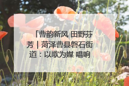 曹韵新风 田野芬芳｜菏泽曹县磐石街道：以歌为媒 唱响乡土“新歌声”