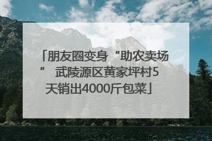 朋友圈变身“助农卖场” 武陵源区黄家坪村5天销出4000斤包菜