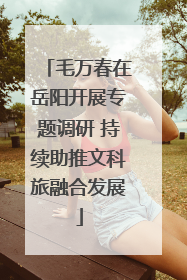 毛万春在岳阳开展专题调研 持续助推文科旅融合发展