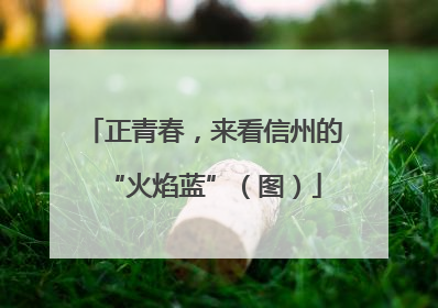 正青春，来看信州的“火焰蓝”（图）