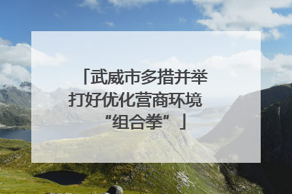 武威市多措并举打好优化营商环境“组合拳”