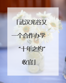 武汉光谷又一个合作办学“十年之约”收官