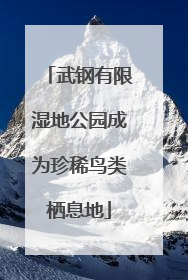 武钢有限湿地公园成为珍稀鸟类栖息地