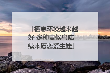 栖息环境越来越好 多种夏候鸟陆续来厦恋爱生娃