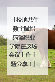 校地共生 数字赋能 菏泽职业学院在这场会议上作主题分享！