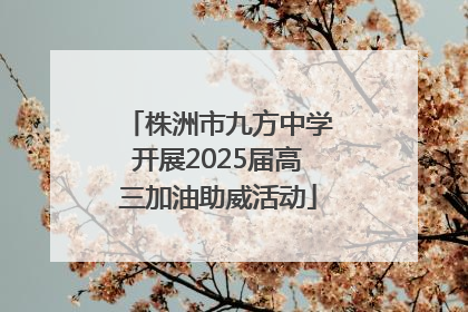 株洲市九方中学开展2025届高三加油助威活动