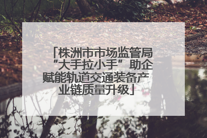 株洲市市场监管局“大手拉小手”助企赋能轨道交通装备产业链质量升级