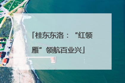 桂东东洛：“红领雁”领航百业兴