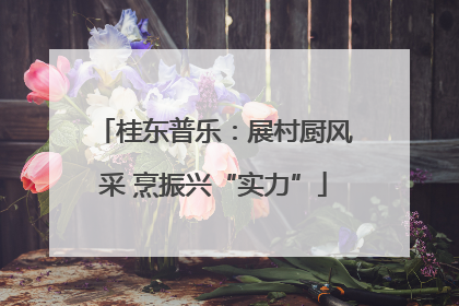桂东普乐：展村厨风采 烹振兴“实力”
