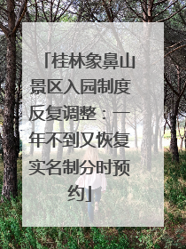 桂林象鼻山景区入园制度反复调整：一年不到又恢复实名制分时预约