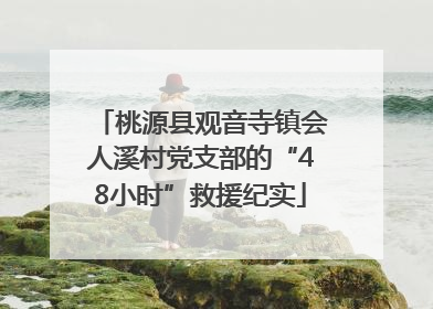 桃源县观音寺镇会人溪村党支部的“48小时”救援纪实