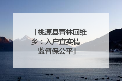 桃源县青林回维乡：入户查实情 监督保公平