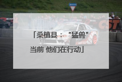 桑植县：“猛兽”当前 他们在行动