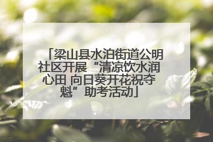 梁山县水泊街道公明社区开展“清凉饮水润心田 向日葵开花祝夺魁”助考活动