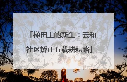 梯田上的新生：云和社区矫正五载耕耘路