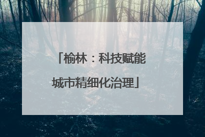 榆林：科技赋能城市精细化治理