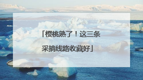 樱桃熟了！这三条采摘线路收藏好