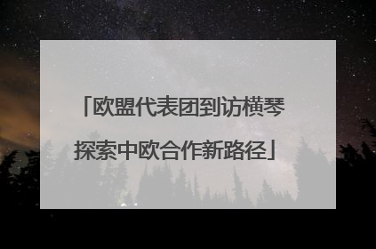 欧盟代表团到访横琴 探索中欧合作新路径