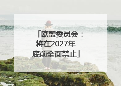 欧盟委员会：将在2027年底前全面禁止