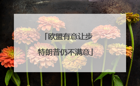 欧盟有意让步 特朗普仍不满意