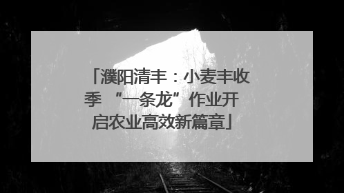 濮阳清丰：小麦丰收季 “一条龙”作业开启农业高效新篇章