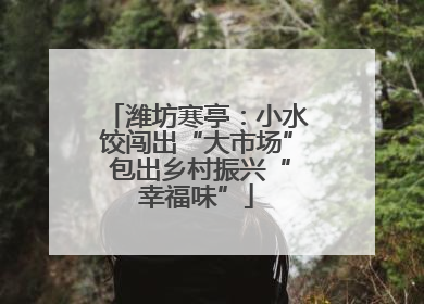 潍坊寒亭：小水饺闯出“大市场” 包出乡村振兴“幸福味”