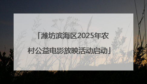潍坊滨海区2025年农村公益电影放映活动启动