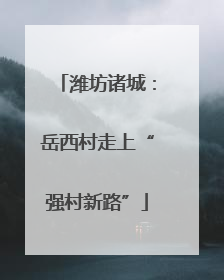 潍坊诸城：岳西村走上“强村新路”