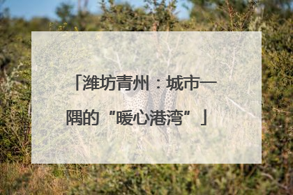 潍坊青州：城市一隅的“暖心港湾”