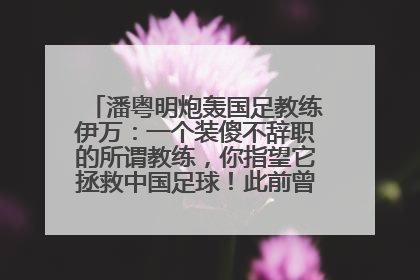 潘粤明炮轰国足教练伊万：一个装傻不辞职的所谓教练，你指望它拯救中国足球！此前曾多次发文评价国足