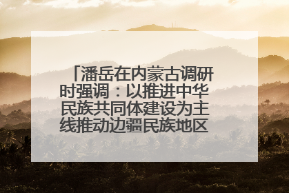潘岳在内蒙古调研时强调：以推进中华民族共同体建设为主线推动边疆民族地区高质量发展