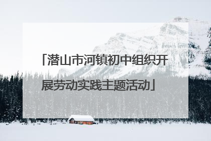 潜山市河镇初中组织开展劳动实践主题活动