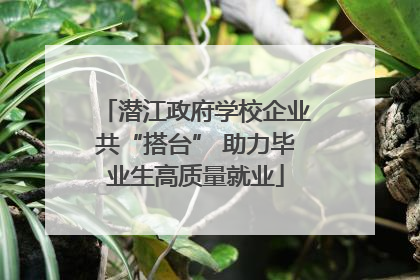 潜江政府学校企业共“搭台” 助力毕业生高质量就业