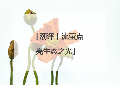 潮评丨流萤点亮生态之光