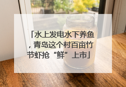 水上发电水下养鱼，青岛这个村百亩竹节虾抢“鲜”上市