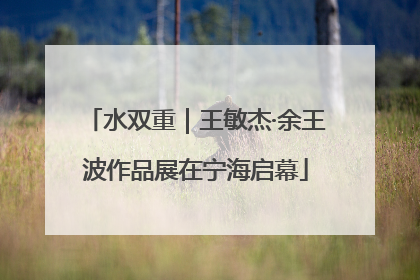 水双重｜王敏杰·余王波作品展在宁海启幕