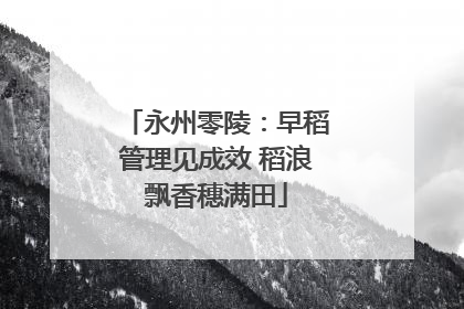 永州零陵：早稻管理见成效 稻浪飘香穗满田