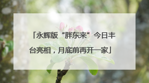 永辉版“胖东来”今日丰台亮相，月底前再开一家