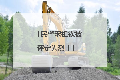 民警宋祖钦被评定为烈士
