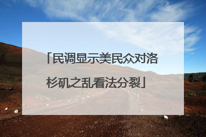 民调显示美民众对洛杉矶之乱看法分裂