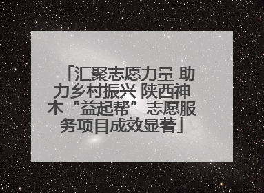 汇聚志愿力量 助力乡村振兴 陕西神木“益起帮”志愿服务项目成效显著