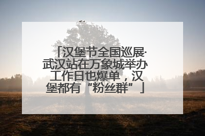汉堡节全国巡展·武汉站在万象城举办 工作日也爆单，汉堡都有“粉丝群”